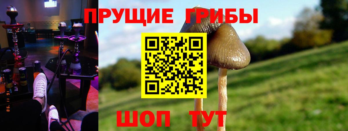 Галлюциногенные грибы Cubensis  Псилоцибиновые грибы мицелий  Вход с VPN  где можно купить   Ухта 