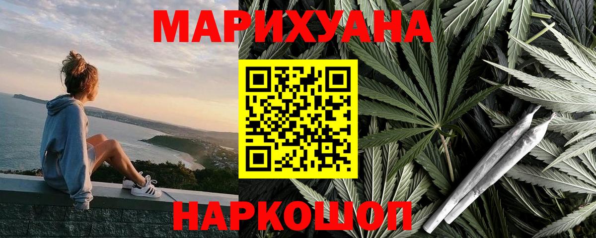 Конопля сатива Ухта